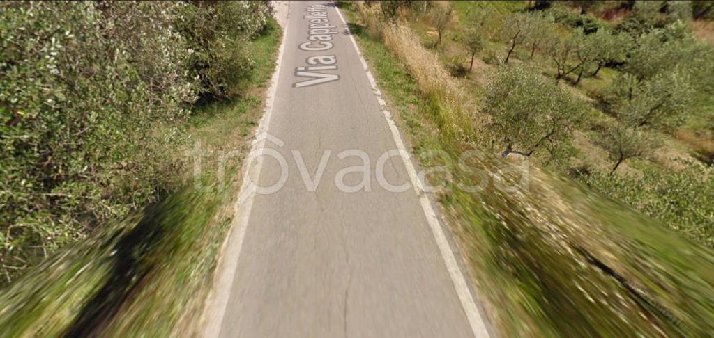 immagine annuncio 8 di 13