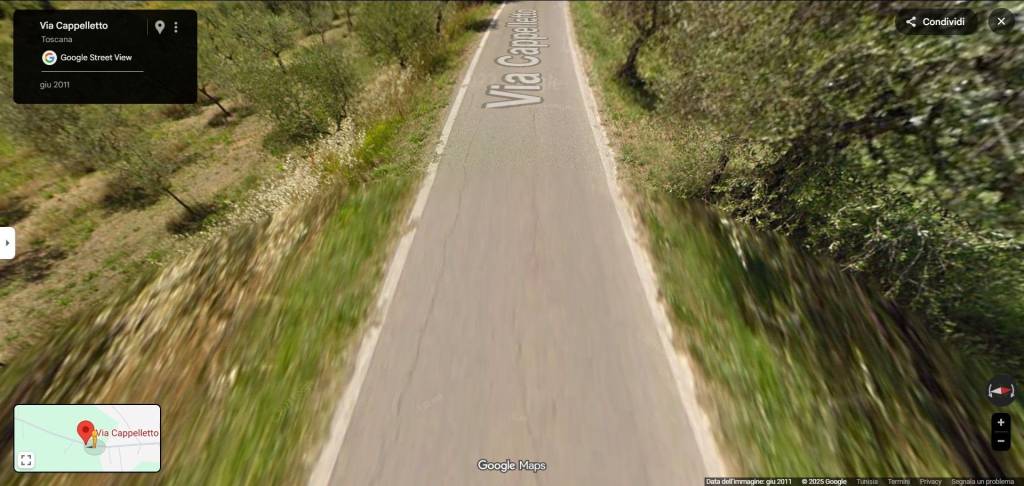 immagine annuncio 10 di 13