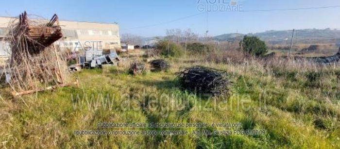 immagine annuncio 1 di 2