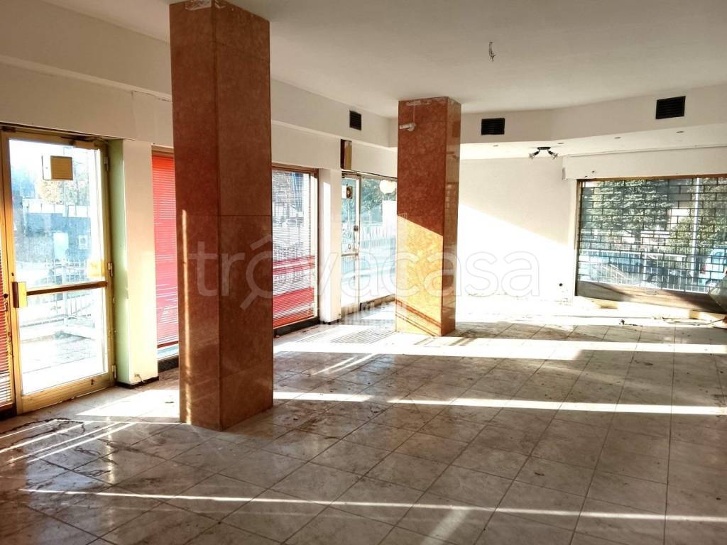 immagine annuncio 4 di 11