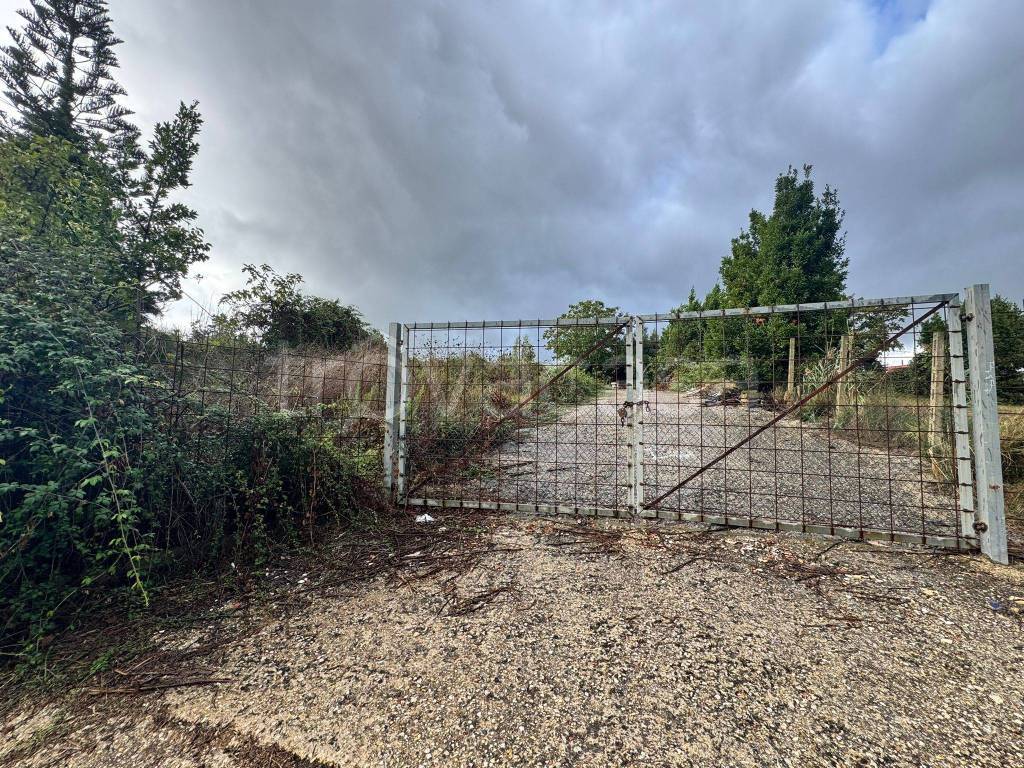 immagine annuncio 4 di 6