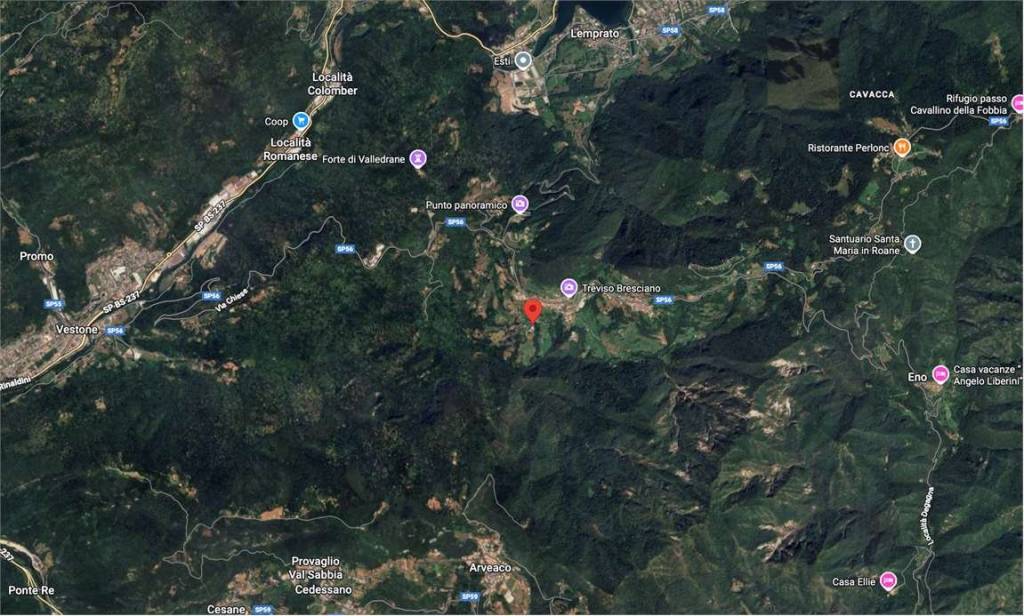 immagine annuncio 4 di 14