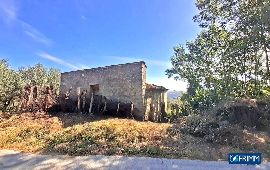 immagine annuncio 1 di 4