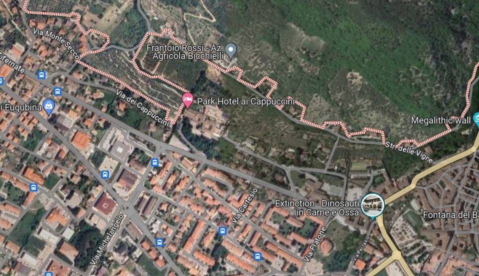 immagine annuncio 12 di 15