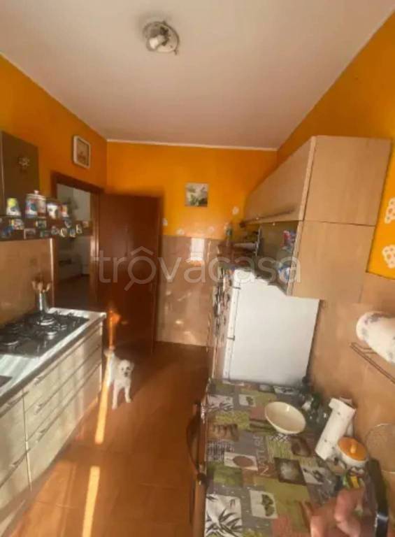 immagine annuncio 5 di 11