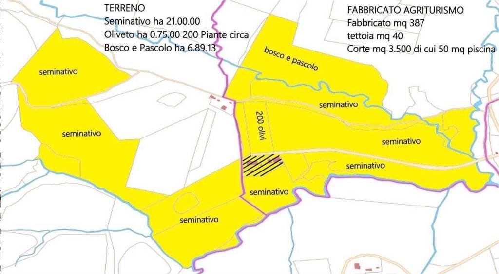 immagine annuncio 2 di 6