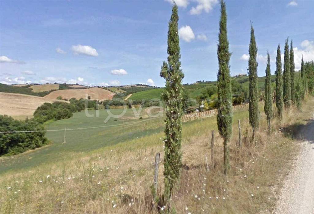 immagine annuncio 4 di 6