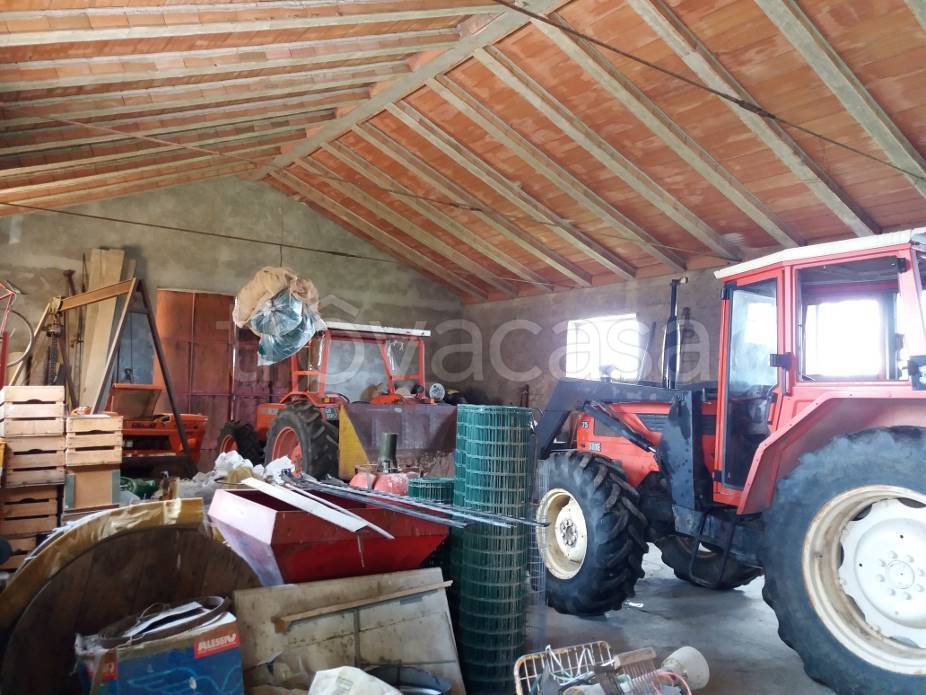 immagine annuncio 7 di 12