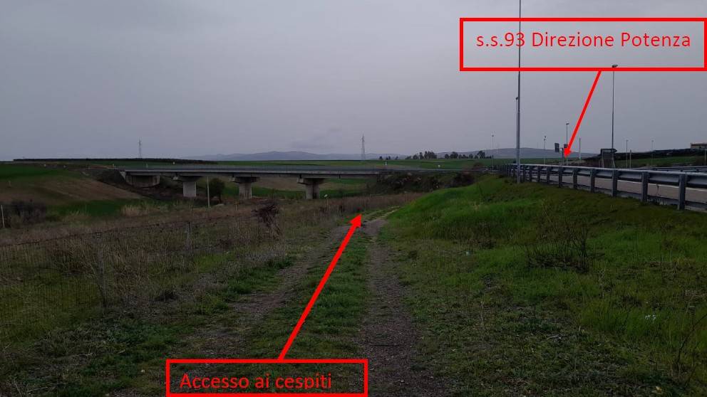 immagine annuncio 1 di 6