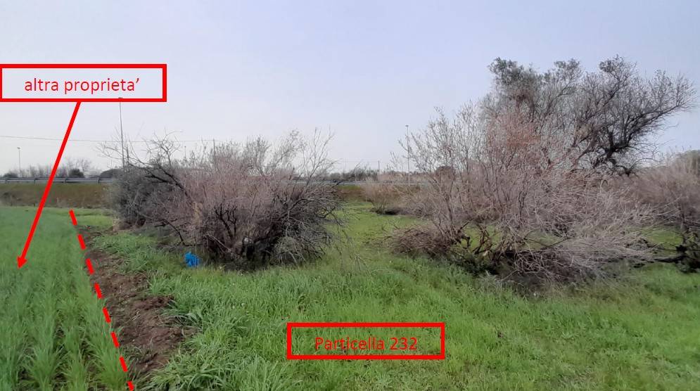 immagine annuncio 4 di 6