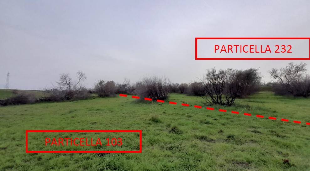 immagine annuncio 5 di 6