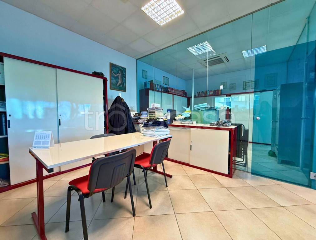 immagine annuncio 4 di 14