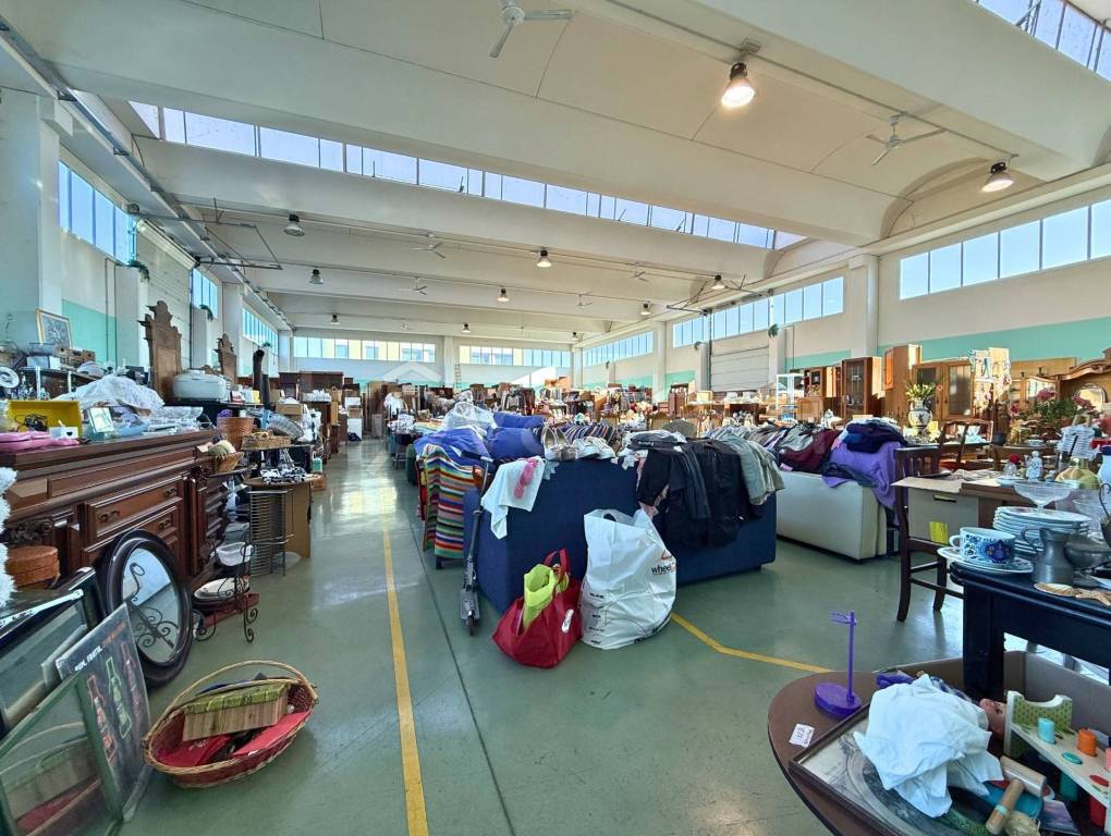 immagine annuncio 8 di 14