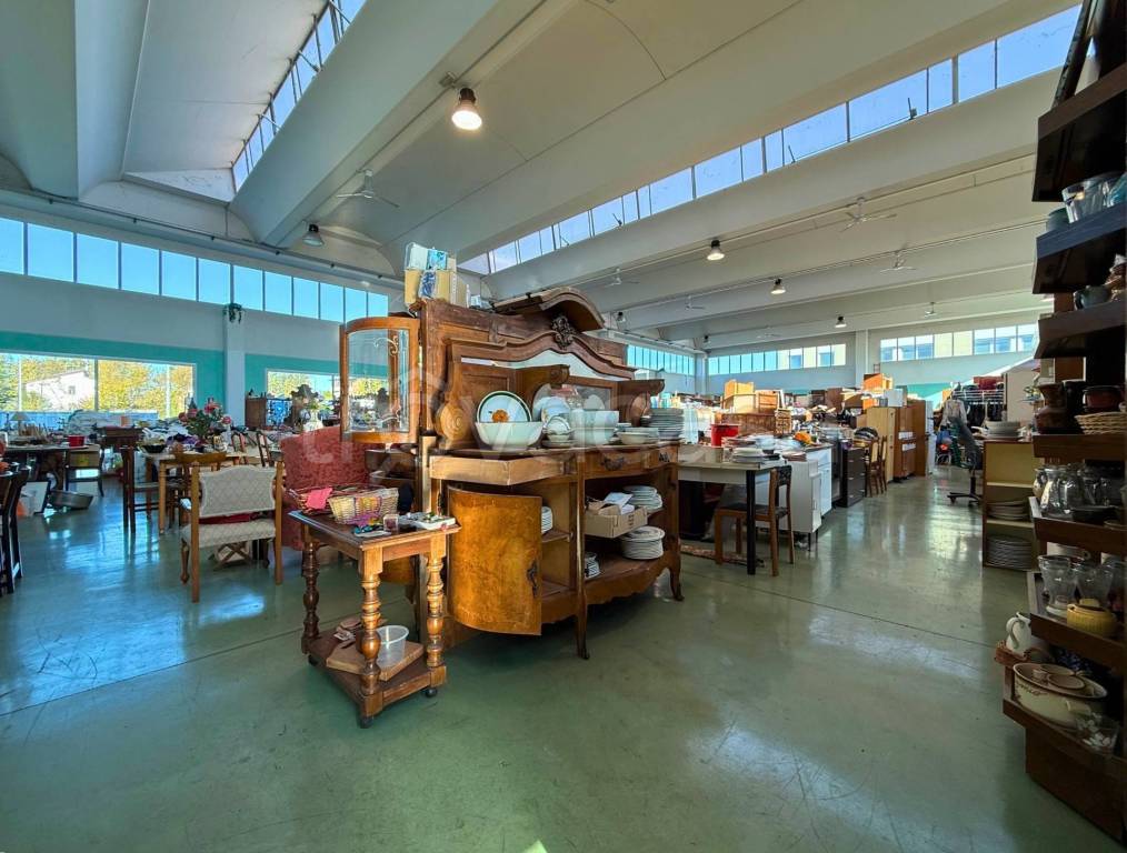 immagine annuncio 9 di 14