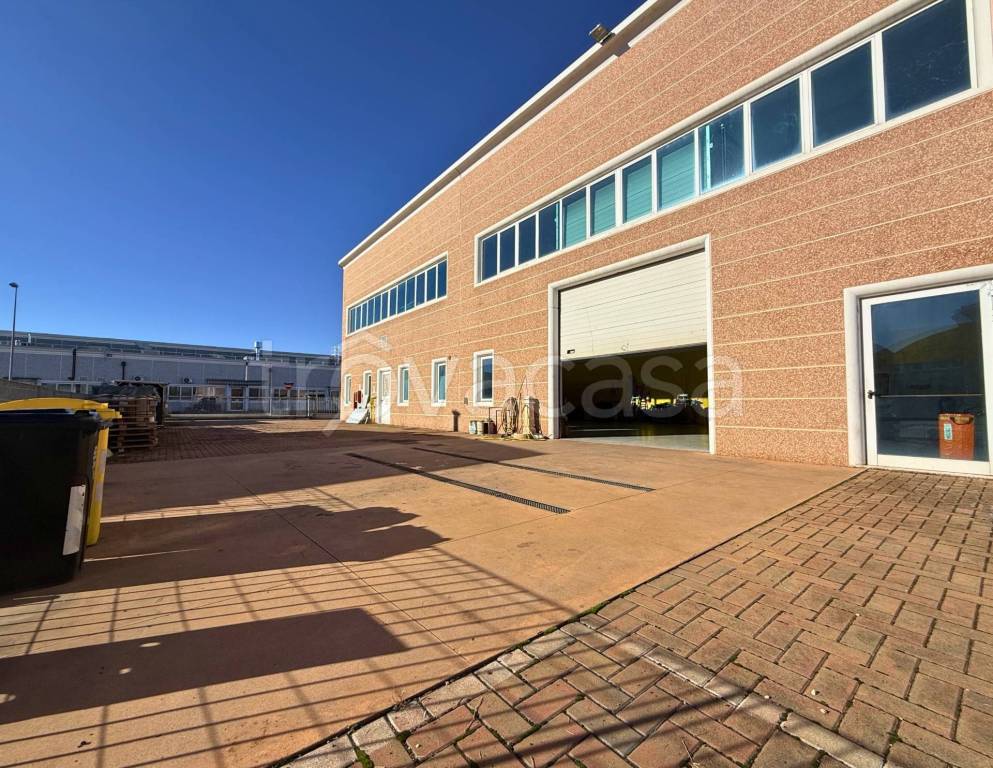 immagine annuncio 10 di 14