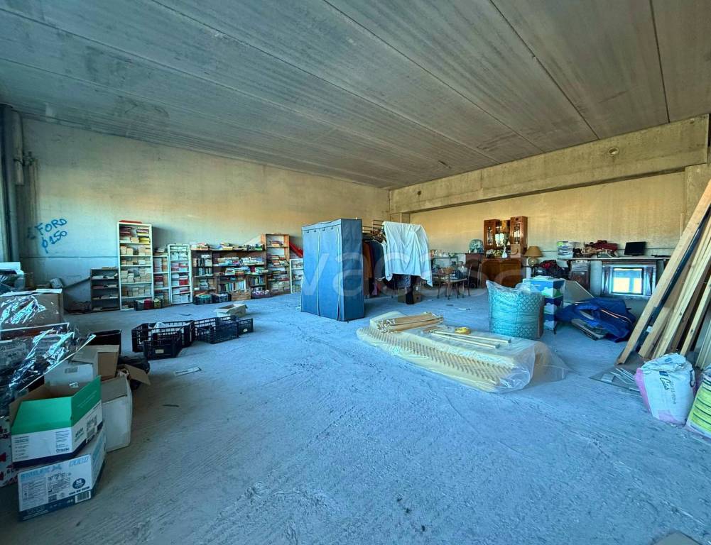 immagine annuncio 11 di 14