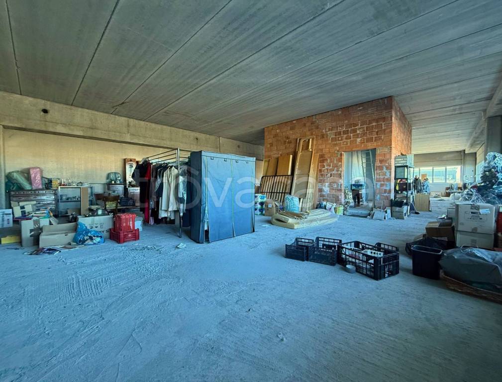 immagine annuncio 12 di 14