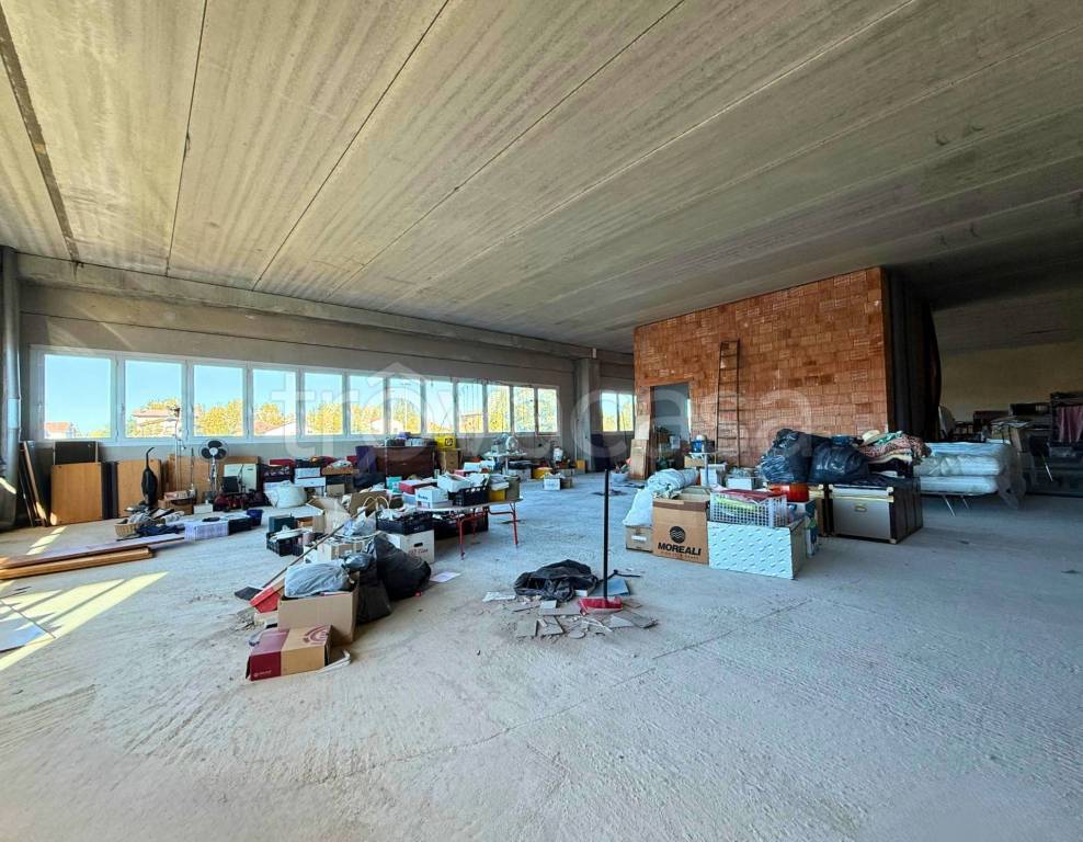 immagine annuncio 13 di 14