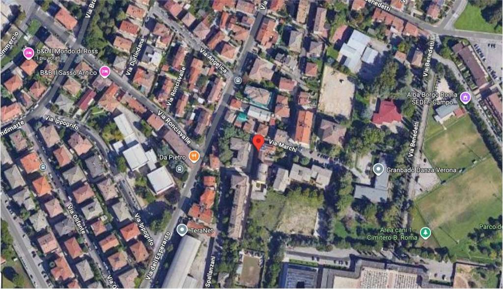 immagine annuncio 4 di 15