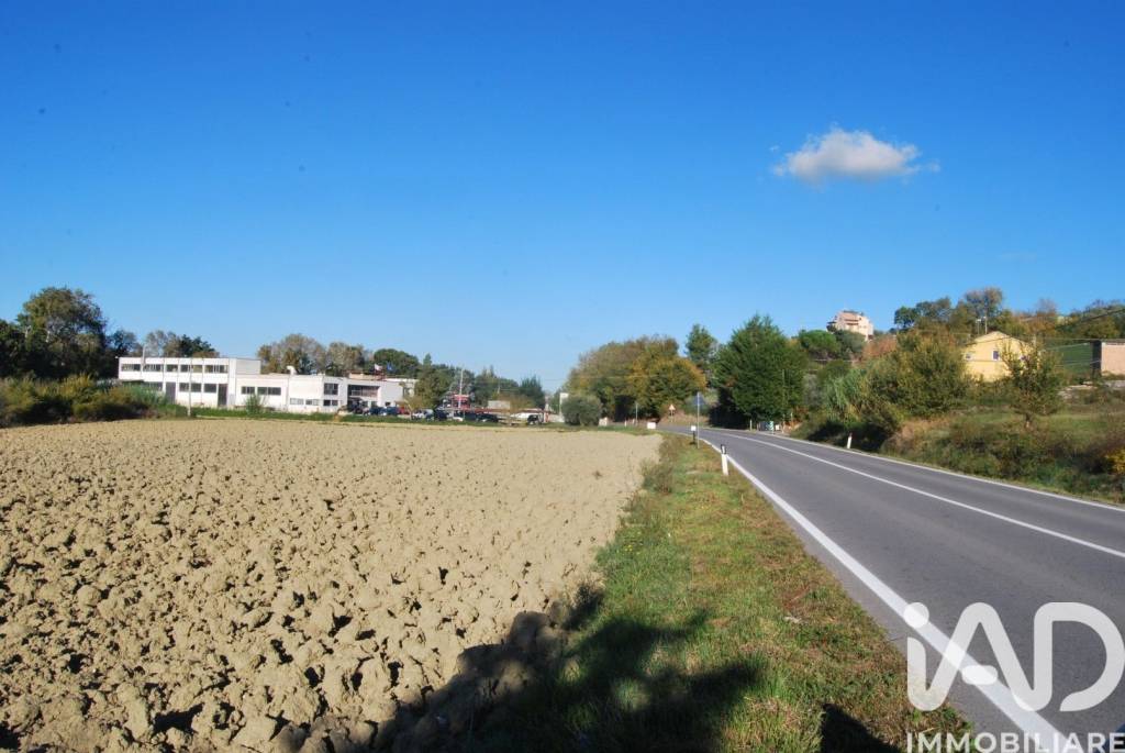 immagine annuncio 3 di 7