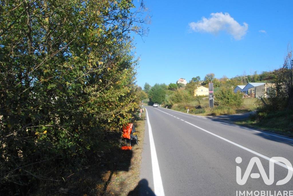 immagine annuncio 4 di 7