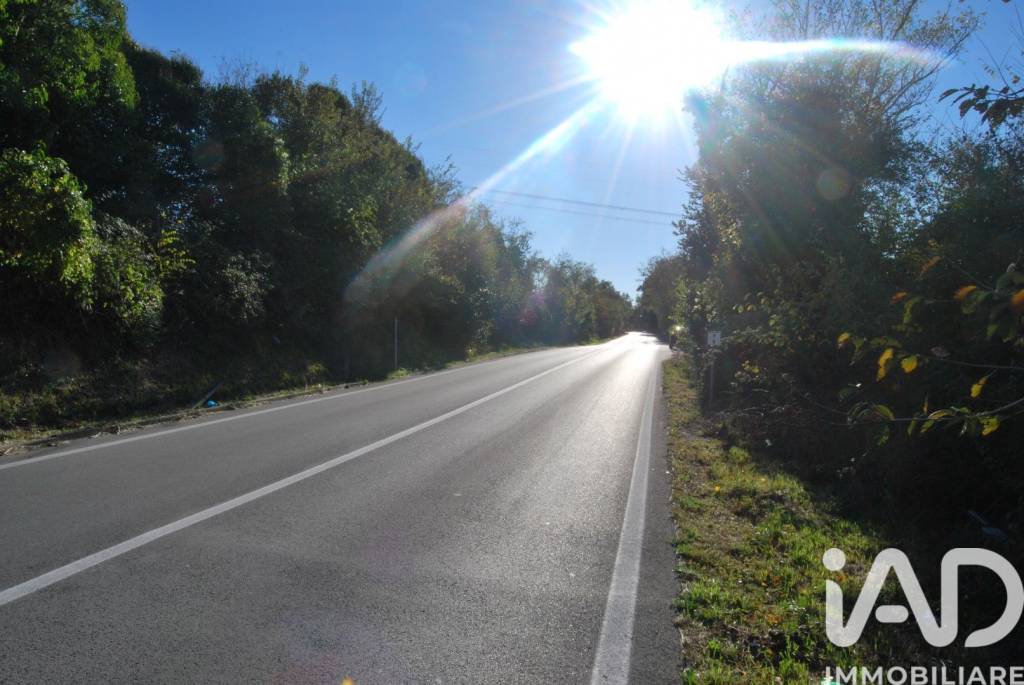 immagine annuncio 5 di 7