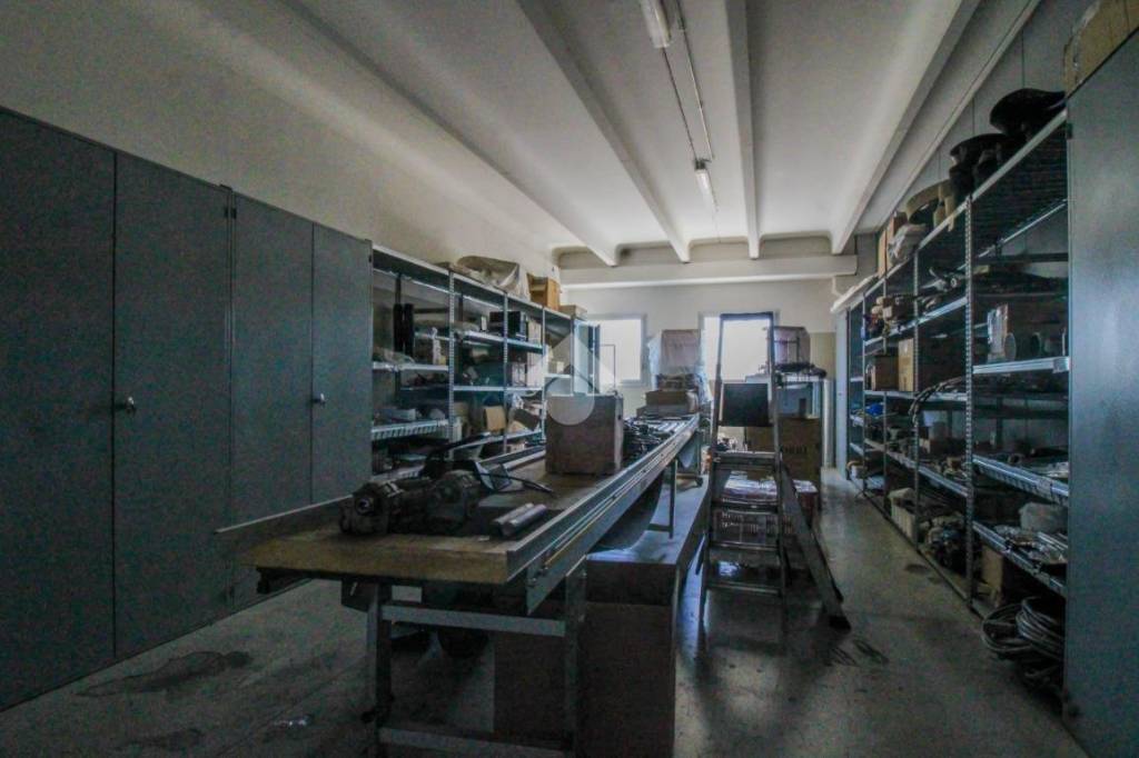 immagine annuncio 10 di 15