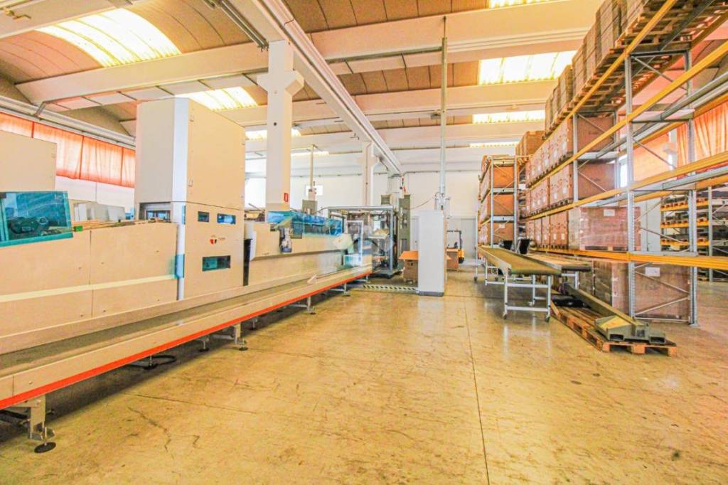 immagine annuncio 12 di 15