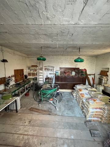 immagine annuncio 11 di 13