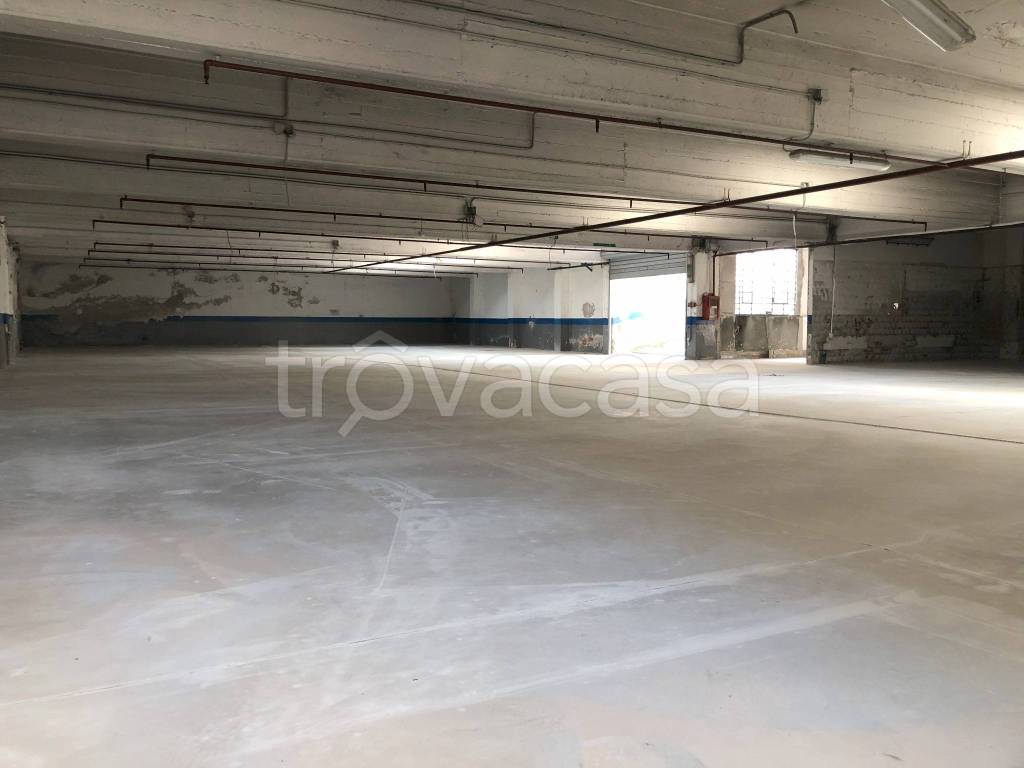 immagine annuncio 3 di 11