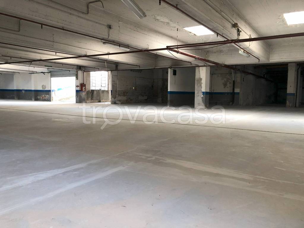 immagine annuncio 5 di 11