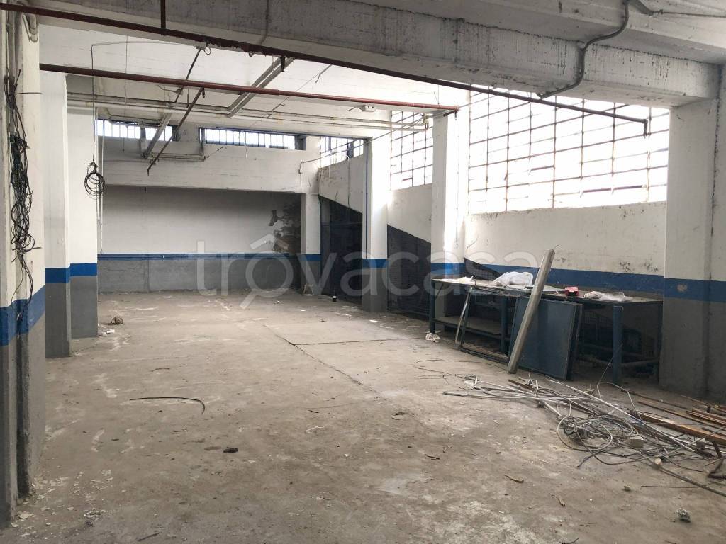 immagine annuncio 8 di 11