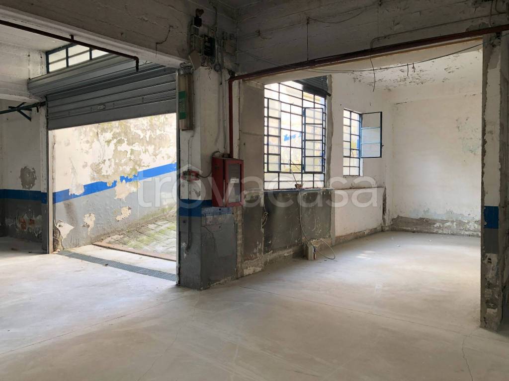 immagine annuncio 10 di 11