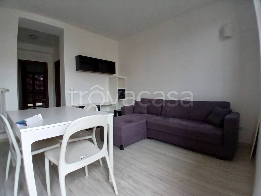 immagine annuncio 1 di 14