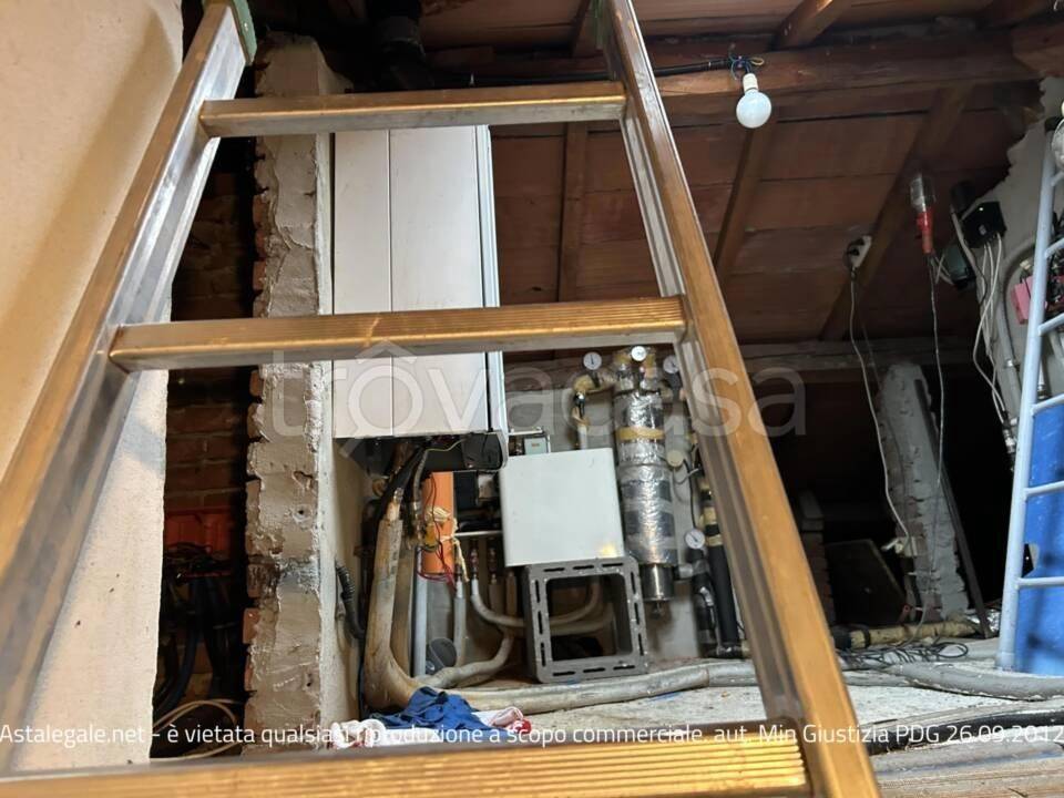 immagine annuncio 5 di 12