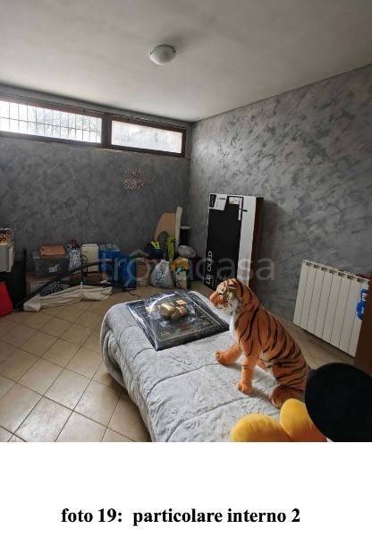 immagine annuncio 2 di 9