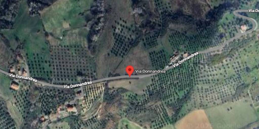 immagine annuncio 5 di 12