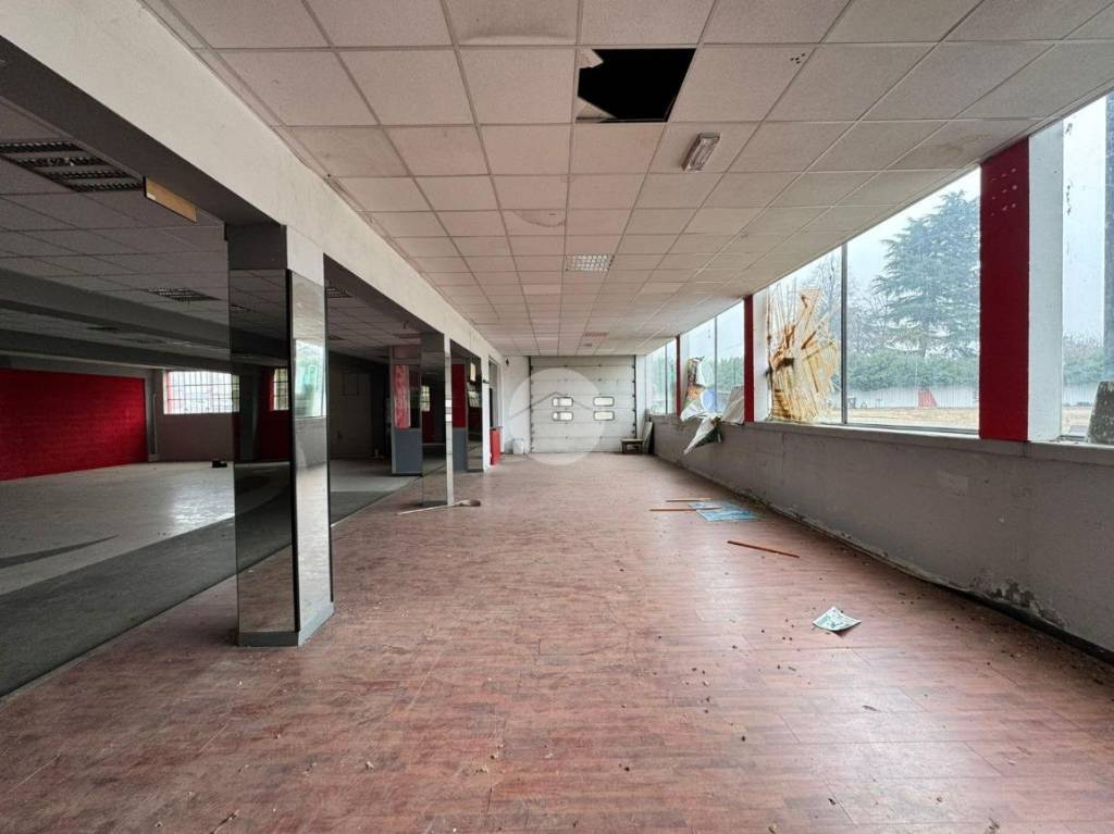 immagine annuncio 7 di 15