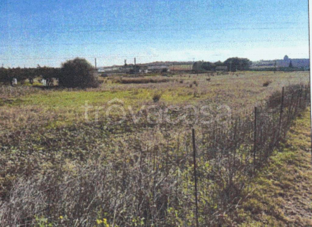 immagine annuncio 6 di 13