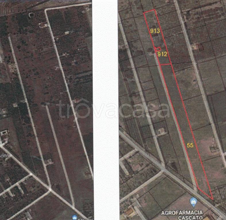 immagine annuncio 10 di 13