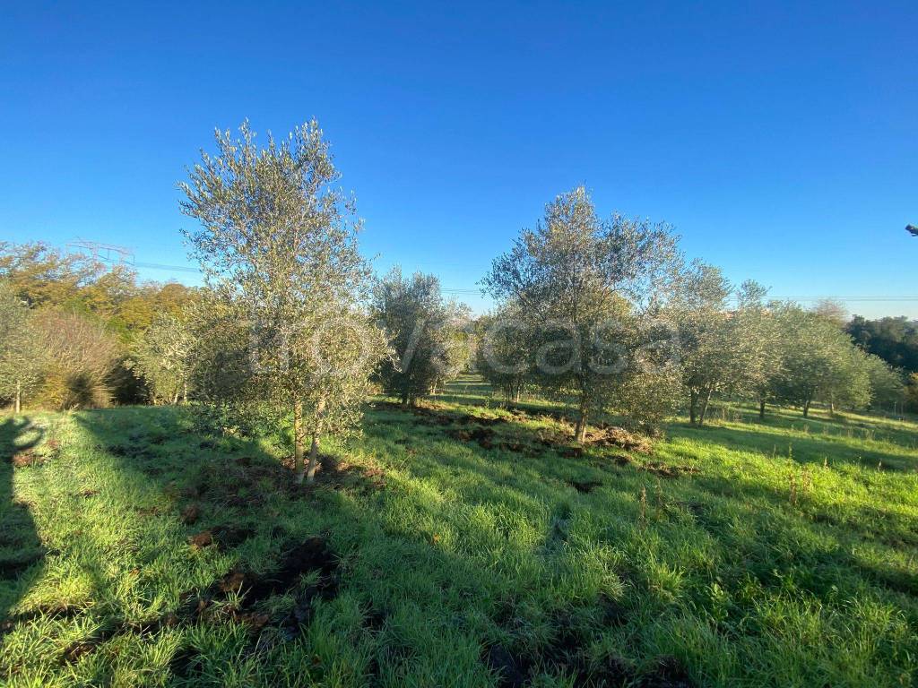 immagine annuncio 1 di 7