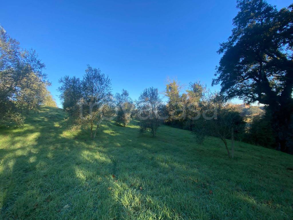 immagine annuncio 4 di 7