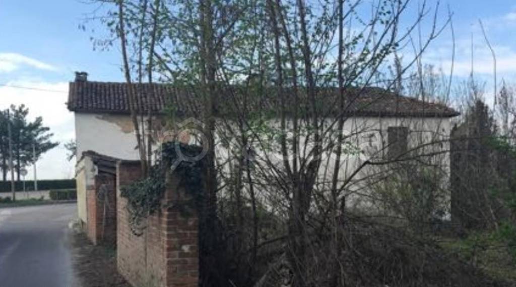 immagine annuncio 2 di 6