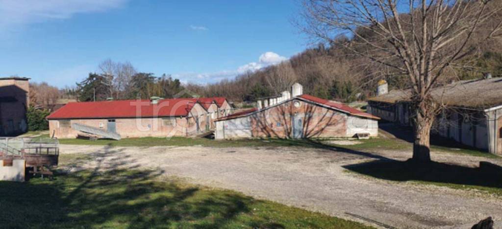 immagine annuncio 9 di 12