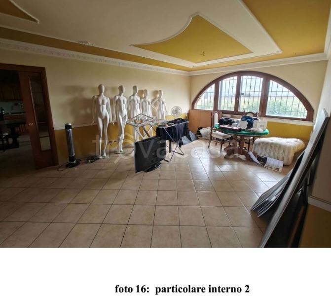 immagine annuncio 5 di 11