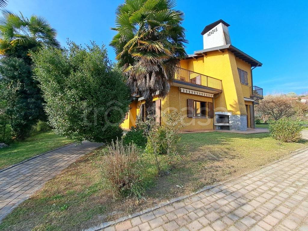 immagine annuncio 9 di 15