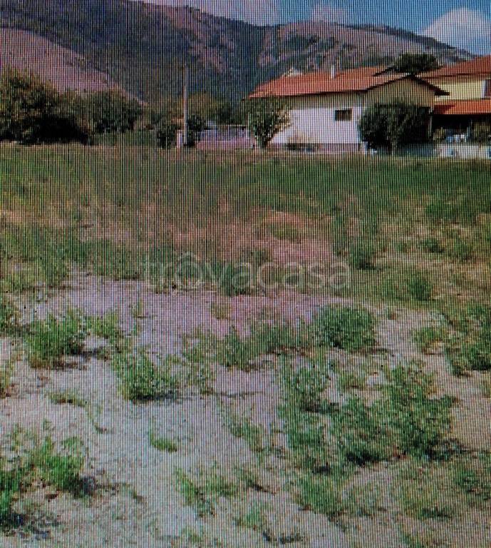 immagine annuncio 4 di 8