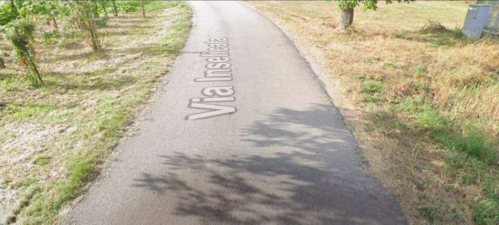 immagine annuncio 5 di 8