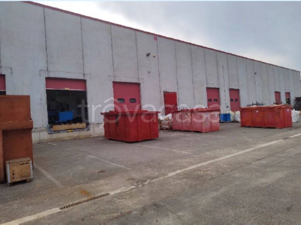 immagine annuncio 6 di 13