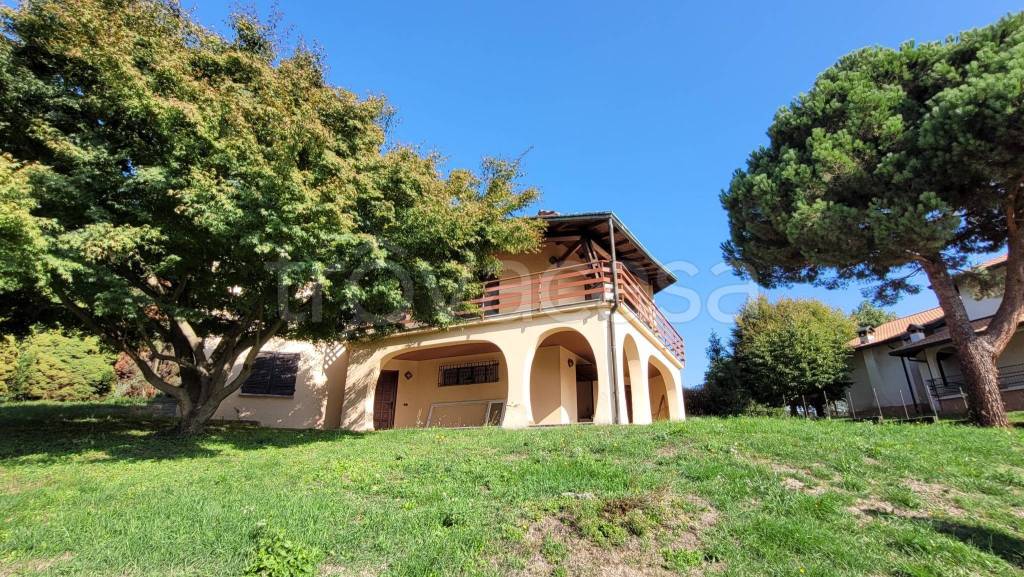 immagine annuncio 9 di 12